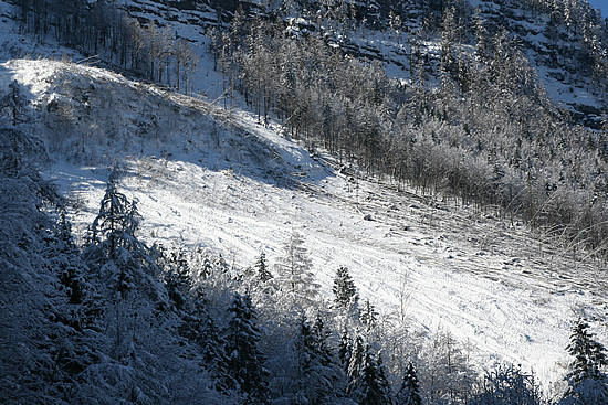 img_0950_lawine.jpg